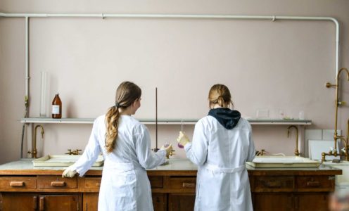 Razvojne istraživačke potpore